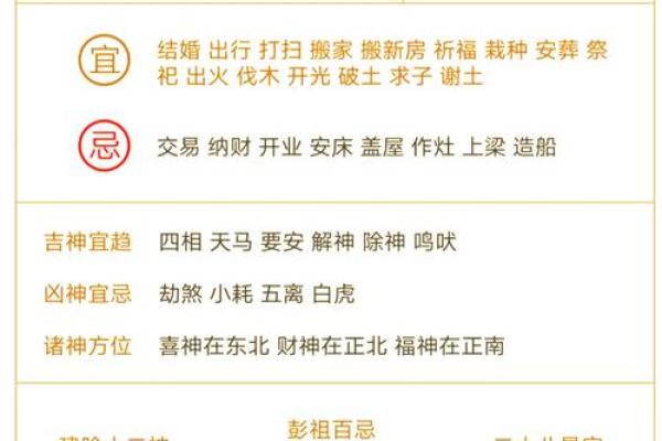 命属本年：命理与人生的奇妙旅程