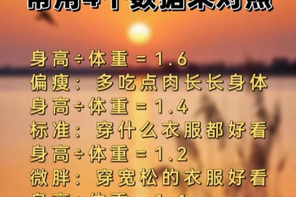 女人上身胖的命理解析：从风水角度看美的玄机