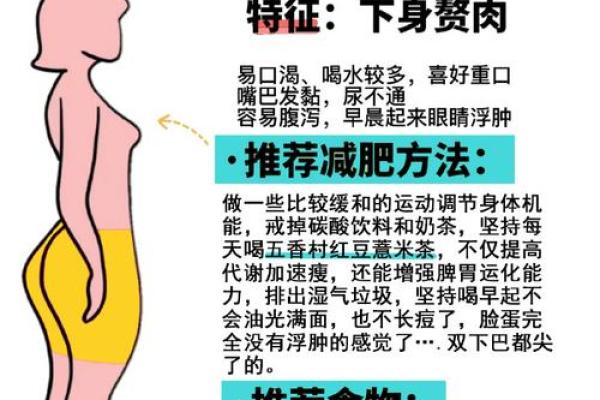 女人上身胖的命理解析：从风水角度看美的玄机