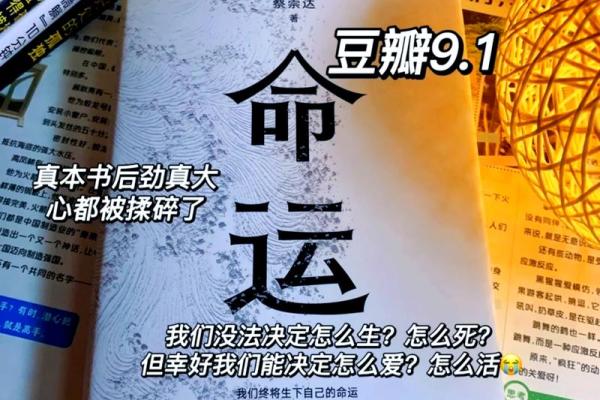 命运的重量：如何理解“命很沉”的深刻含义