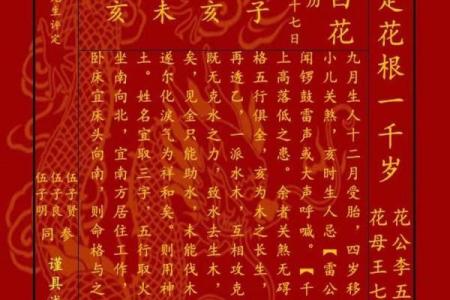 命理解密：哪些因素能预测贵子的降临？