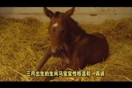 农历一月份出生的马命:象征激情与活力的命运之旅