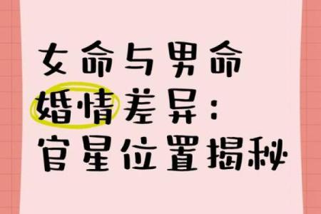 以官星为夫的女命：职业选择与发展之道