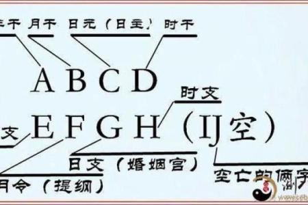探寻马蹄金命:神秘命理中的财富与机遇之路