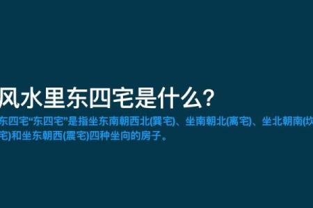 掌握离命东四命的奥秘:生活中的那些不可忽视的细节