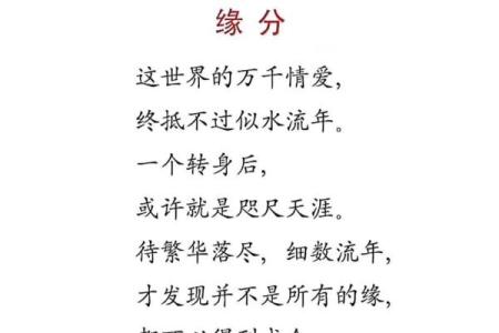 命也缘缘也是命:人生的奇妙交织与命运的启示