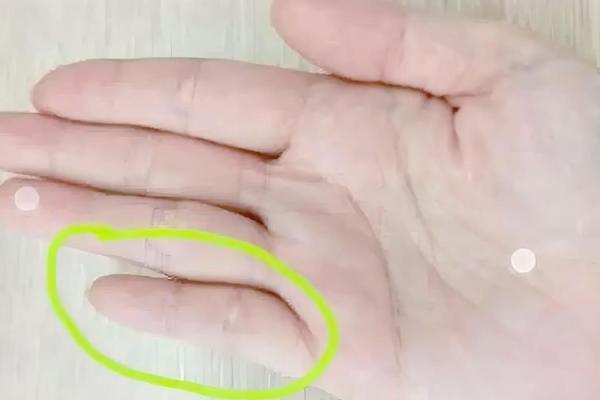 探秘男命偏印：揭示其特性与生活影响的玄机