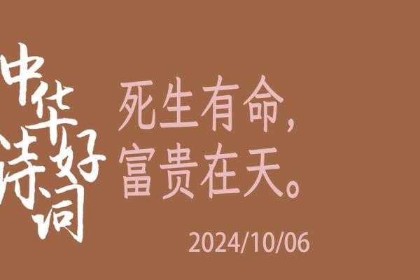 命乃己不在天：掌握人生的主动权与智慧