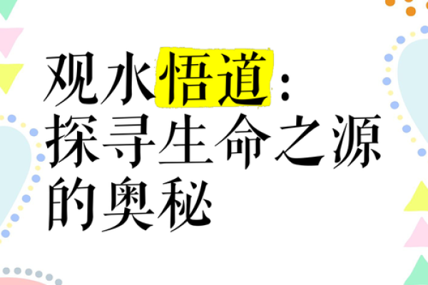 探寻命藏之的奥秘：命与生活的深刻联系