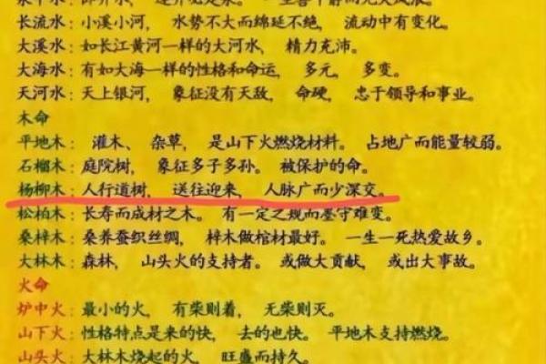 探秘命理学：金命与木命的深厚寓意与影响