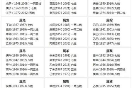 探索农历十六与十四的命理奥秘,揭开命运的神秘面纱