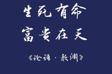 命里有天必有地的哲理与人生启示