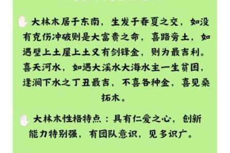 命还挺大的人是什么命？深入解析命运中的幸运与挑战