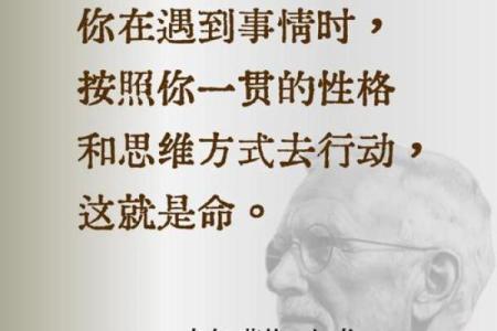 通过阅读改变命运：提升自我与心灵启迪的书籍推荐