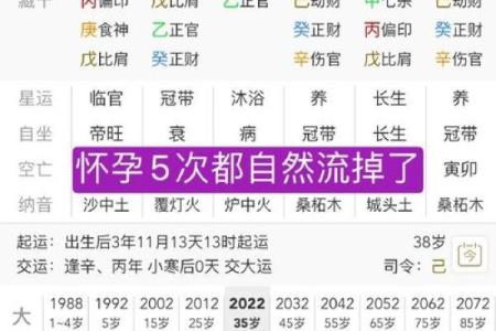 女命己土为何财运不佳的真相剖析
