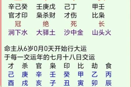 探秘女命财官双辉：命理中的独特魅力与运势解析