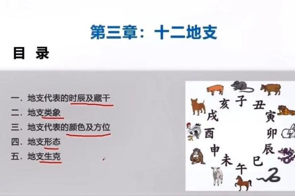 命学的基石：探索人生轨迹与命运的奥秘