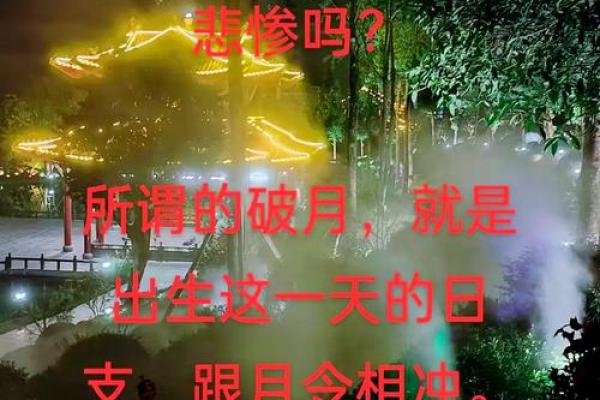 九三年六月出生者的命运探寻
