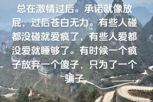 九条命都想跟你过：爱与坚持的真实故事