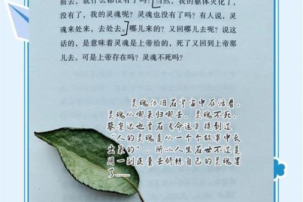 命书假子送终的深意与人生启示：探索命运的奥秘与释怀之道