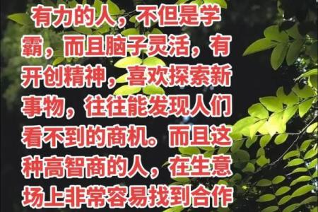 探寻葵酉年:五行中金命的奥秘与人生启示