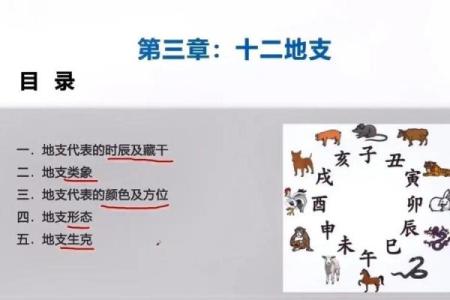 命学的基石:探索人生轨迹与命运的奥秘