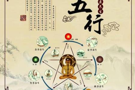 命理中的“喜木”解析:了解命运与元素的奥秘