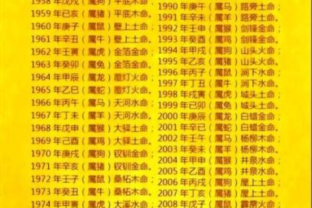 九五年出生的命运解析:你的生肖与人生轨迹