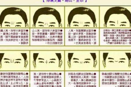 九月出生的羊儿:命运与性格的深度解析