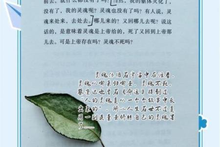 命书假子送终的深意与人生启示:探索命运的奥秘与释怀之道