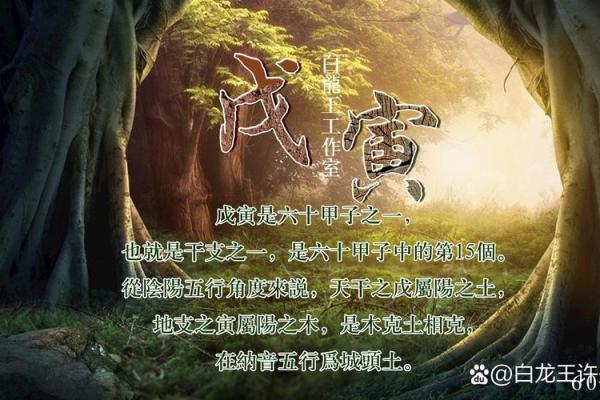 命理中的喜神与合的深意分析：提升运势的秘密钥匙