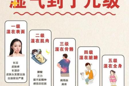 命理学中的湿燥寒热:探寻身体与自然的微妙关系