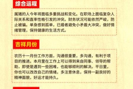 农历五月一号出生的猪:神秘命运与人生启示