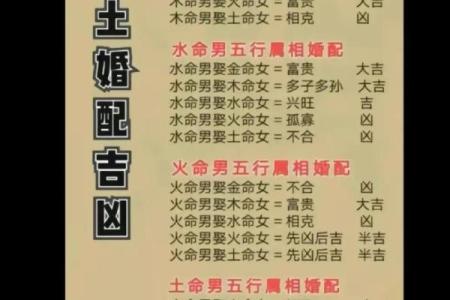 命理五行中的贵人:助你运势飞升的神秘力量