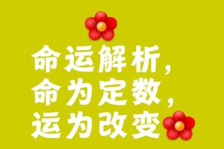 命里有驿字,运势与人生的深刻解读