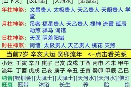 命局与命格的深刻解读:揭开命运的神秘面纱
