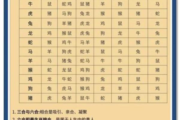 命局年时相冲的含义与影响分析
