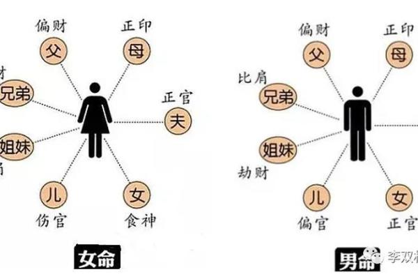 探秘女命八字中的两个官星，揭示她们的命运密码