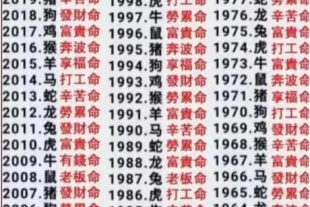 探秘女命八字中的两个官星，揭示她们的命运密码