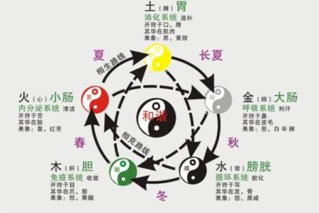命局五行缺失浅析:寻根溯源,化解生命障碍之道