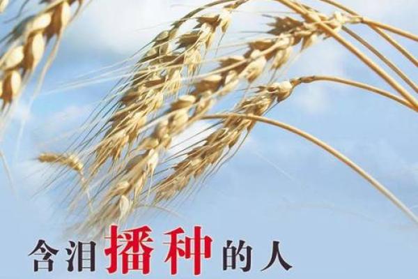 命好不努力，未来却迷茫——解读幸福与成功的关系