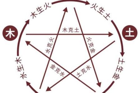 以木为命,如何为木命之人选择合适的名字?