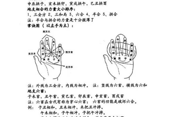 命理入门：从哪本书开始探索命理的奥秘？