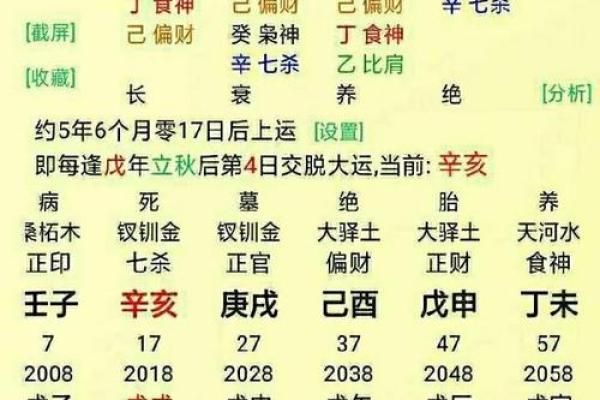 命局食神过旺的深层解析与应对策略