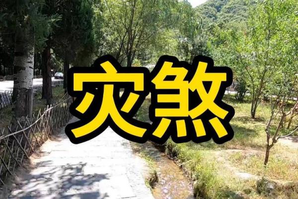 探秘女命八字中的灾煞：揭示命运中的潜在威胁与应对之道