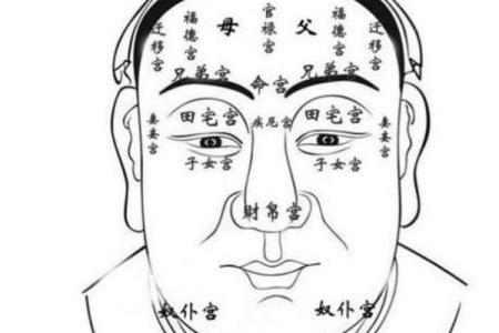 下巴肉突显男人命运深意，解读面相与命运关系