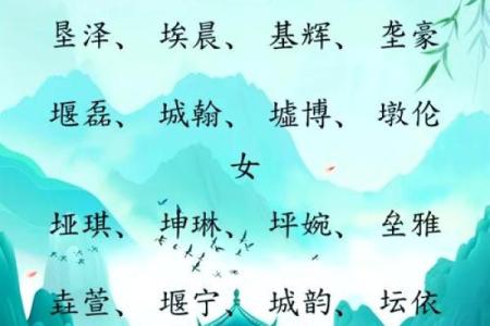 为路旁土命选择合适的名字——命名背后的智慧与奥秘