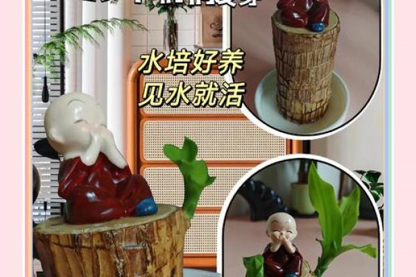助力木命：提升运势的最佳物品与选择