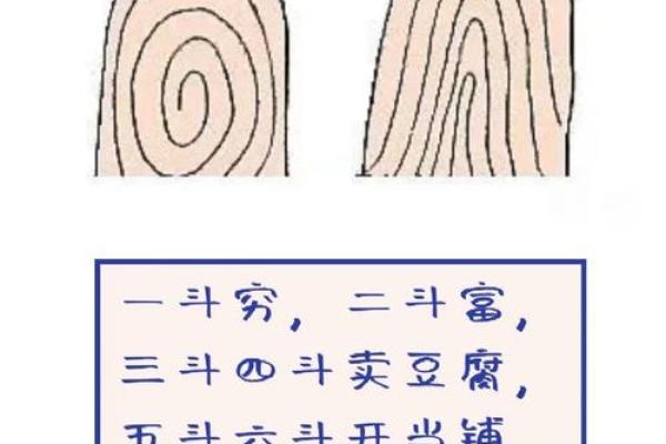 探秘男人簸箕命：命理中的独特象征与人生启示