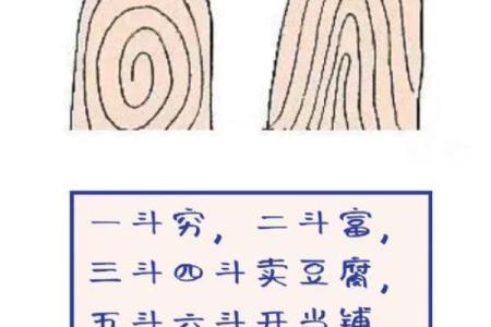 探秘男人簸箕命:命理中的独特象征与人生启示